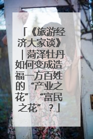 《旅游经济大家谈》｜菏泽牡丹如何变成造福一方百姓的“产业之花”“富民之花”？