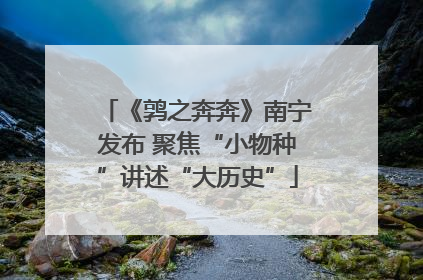《鹑之奔奔》南宁发布 聚焦“小物种”讲述“大历史”
