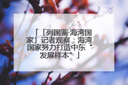 「列国鉴·海湾国家」记者观察：海湾国家努力打造中东“发展样本”