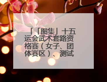 「图集」十五运会武术套路资格赛（女子、团体赛区）、测试赛在南沙开赛