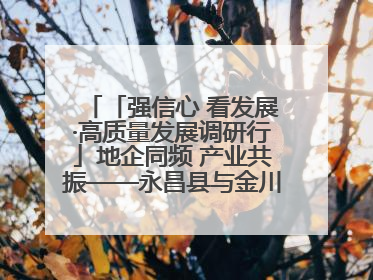「强信心 看发展·高质量发展调研行」地企同频 产业共振——永昌县与金川集团地企融合推动重大项目建设