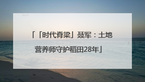 「时代脊梁」聂军：土地营养师守护稻田28年