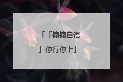 「楠楠自语」你行你上