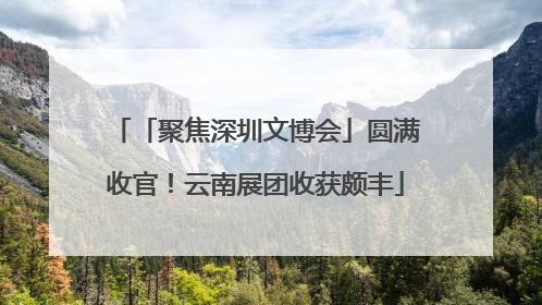 「聚焦深圳文博会」圆满收官！云南展团收获颇丰