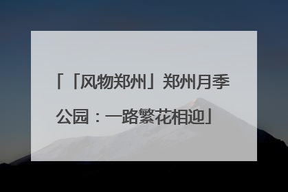 「风物郑州」郑州月季公园：一路繁花相迎