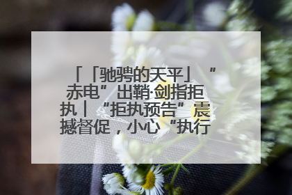 「驰骋的天平」“赤电”出鞘·剑指拒执︱“拒执预告”震撼督促，小心“执行”变“执刑”