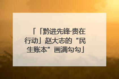 「黔进先锋·贵在行动」赵大志的“民生账本”画满勾勾
