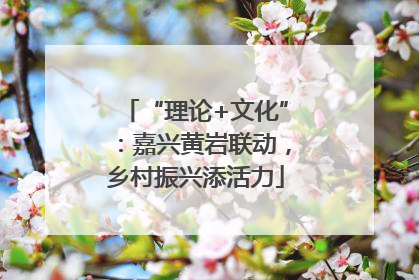 “理论+文化”：嘉兴黄岩联动，乡村振兴添活力