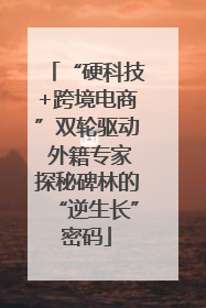 “硬科技+跨境电商”双轮驱动 外籍专家探秘碑林的“逆生长”密码