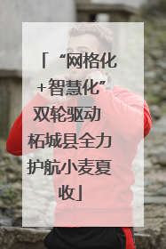 “网格化+智慧化”双轮驱动 柘城县全力护航小麦夏收