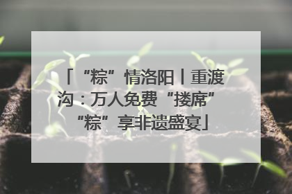“粽”情洛阳丨重渡沟：万人免费“搂席” “粽”享非遗盛宴