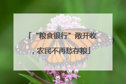 “粮食银行”敞开收，农民不再愁存粮