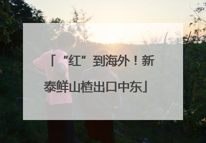 “红”到海外！新泰鲜山楂出口中东