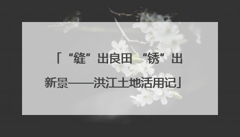 “缝”出良田 “锈”出新景——洪江土地活用记