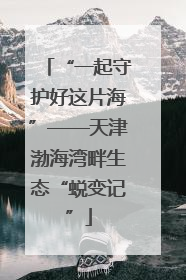 “一起守护好这片海”——天津渤海湾畔生态“蜕变记”