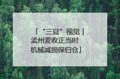 “三夏”视觉｜孟州麦收正当时 机械减损保归仓