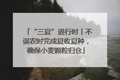 “三夏”进行时丨不误农时完成夏收夏种，确保小麦颗粒归仓