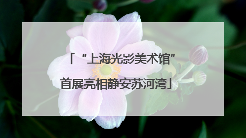 “上海光影美术馆”首展亮相静安苏河湾