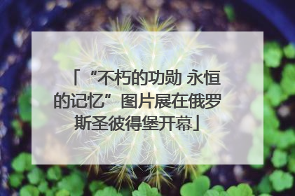 “不朽的功勋 永恒的记忆”图片展在俄罗斯圣彼得堡开幕