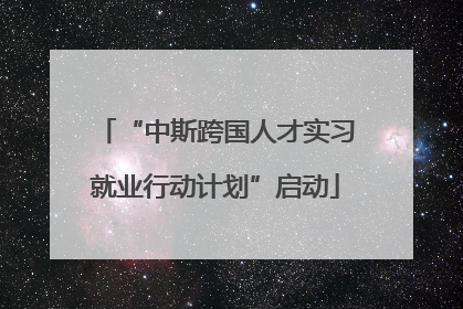 “中斯跨国人才实习就业行动计划”启动
