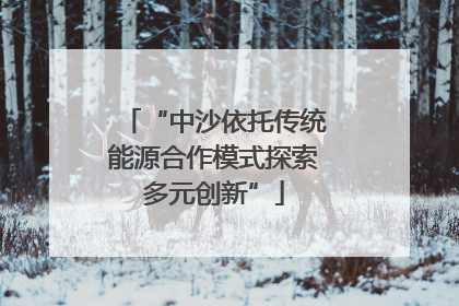 “中沙依托传统能源合作模式探索多元创新”