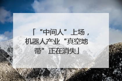 “中间人”上场，机器人产业“真空地带”正在消失