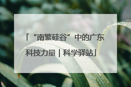 “南繁硅谷”中的广东科技力量｜科学驿站