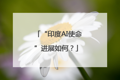 “印度AI使命”进展如何？
