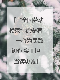 “全国劳动模范”徐安清：一心为民践初心 实干担当铸忠诚