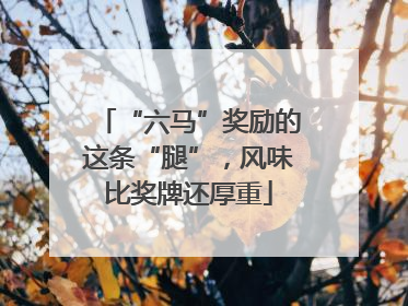 “六马”奖励的这条“腿”，风味比奖牌还厚重