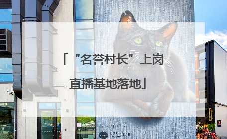 “名誉村长”上岗 直播基地落地