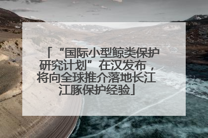 “国际小型鲸类保护研究计划”在汉发布，将向全球推介落地长江江豚保护经验
