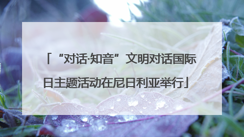 “对话·知音”文明对话国际日主题活动在尼日利亚举行