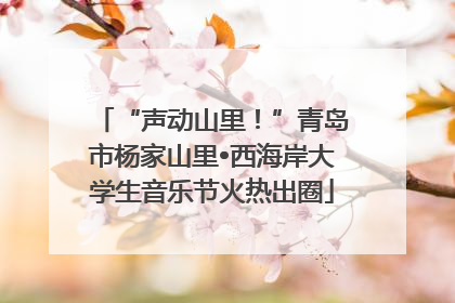 “声动山里！”青岛市杨家山里•西海岸大学生音乐节火热出圈