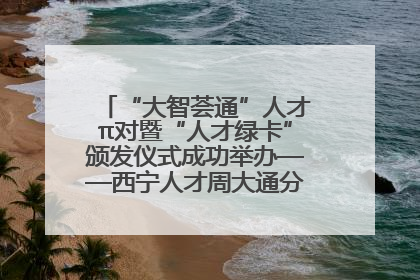“大智荟通”人才π对暨“人才绿卡”颁发仪式成功举办——西宁人才周大通分会场亮点纷呈