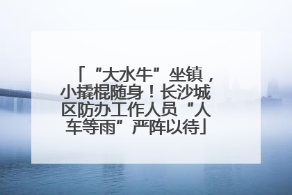 “大水牛”坐镇，小撬棍随身！长沙城区防办工作人员“人车等雨”严阵以待
