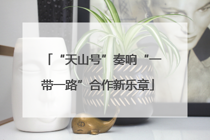 “天山号”奏响“一带一路”合作新乐章