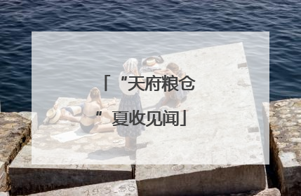 “天府粮仓”夏收见闻