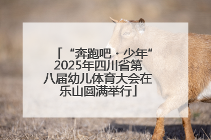 “奔跑吧・少年”2025年四川省第八届幼儿体育大会在乐山圆满举行