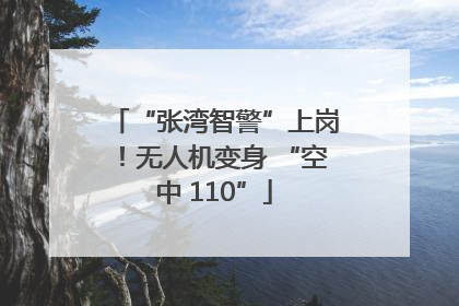 “张湾智警”上岗！无人机变身 “空中 110”