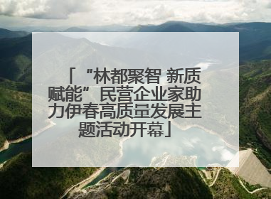 “林都聚智 新质赋能”民营企业家助力伊春高质量发展主题活动开幕
