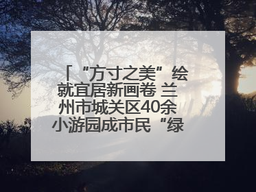 “方寸之美”绘就宜居新画卷 兰州市城关区40余小游园成市民“绿色福利”打卡地