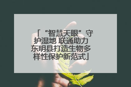 “智慧天眼”守护湿地 联通助力东明县打造生物多样性保护新范式