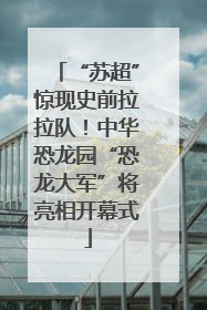 “苏超”惊现史前拉拉队！中华恐龙园“恐龙大军”将亮相开幕式