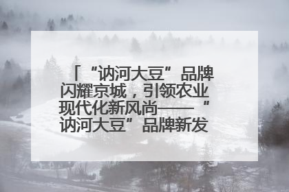 “讷河大豆”品牌闪耀京城，引领农业现代化新风尚——“讷河大豆”品牌新发地推介会圆满落幕