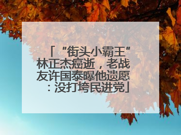 “街头小霸王”林正杰癌逝，老战友许国泰曝他遗愿：没打垮民进党