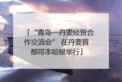 “青岛—丹麦经贸合作交流会” 在丹麦首都哥本哈根举行