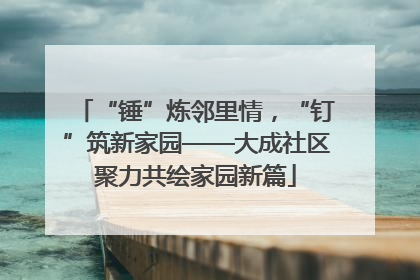 “锤”炼邻里情，“钉”筑新家园——大成社区聚力共绘家园新篇