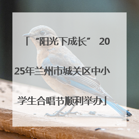 “阳光下成长” 2025年兰州市城关区中小学生合唱节顺利举办