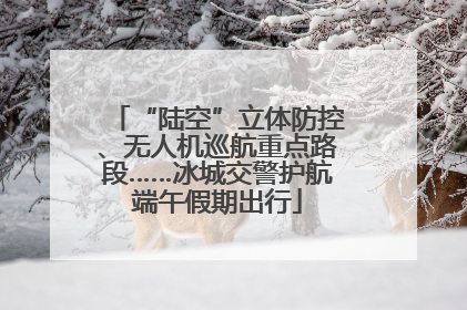 “陆空”立体防控、无人机巡航重点路段……冰城交警护航端午假期出行